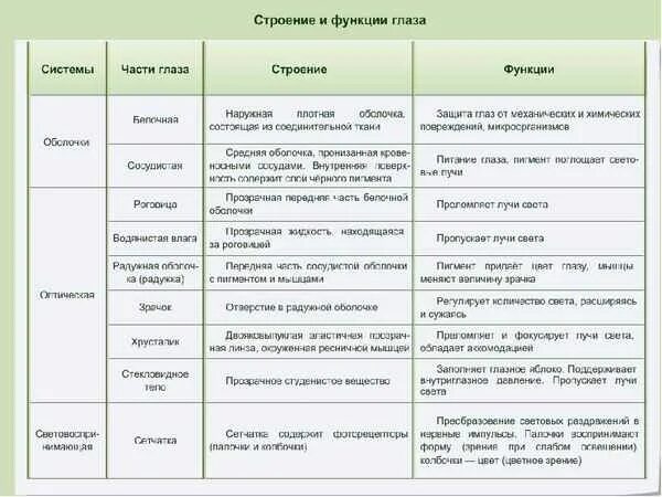 Строение глаза таблица структура строение функции. Таблица строение глаза строение функции особенности. Таблица системы глаза части глаза строение функции. Таблица по биологии части глаза строение функции.