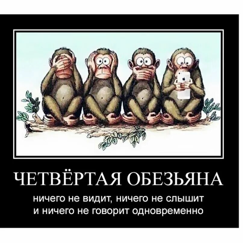 Обезьяны ничего не вижу. Четвертая обезьяна. Обезьяна ничего не вижу ничего не слышу. Обезьянки ничего не вижу ничего.