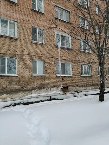 Ул хвойная 13. Ул хвойная 13. Международная гимназия ольгино. Международная гимназия ольгино санкт-петербург. Школа в ольгино.