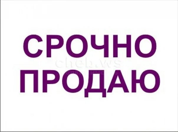 Срочно отдавать. Срочно продам картинки. срочно. срочно продается. срочная продажа.