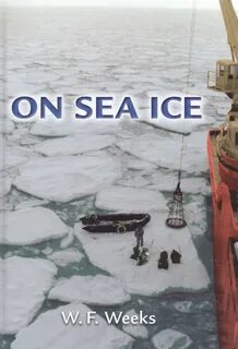 The sea ice
