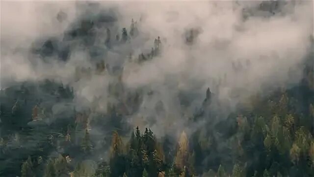 Потерянный в облаке 99. Лесные пожары в ХМАО 2022. Nevfyyaq KTC. Туман над лесом.