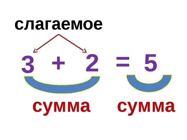 Сумме ли. Слагаемые сумма. Слагаемое сумма. Математика слагаемое слагаемое сумма. Слагаемое слагаемое сумма правило.