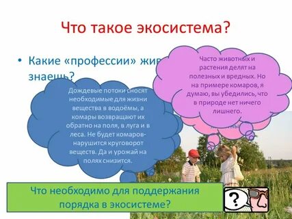 Экосистема здоровья