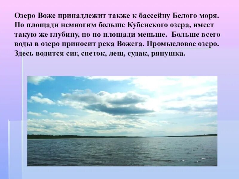 Сообщение о Кубенском озере. Сообщение о озере Вологодской области. Реки и озера Вологды. Реки и озера Вологодской области.