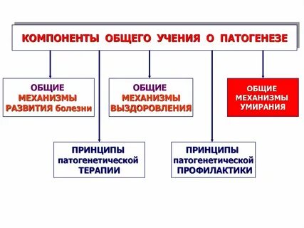 Компонент учения