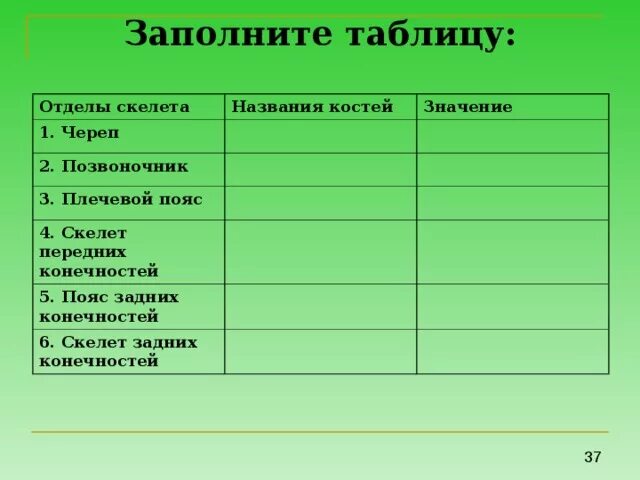 Отдел кости функции. Отдел скелета таблица. Строение отделов скелета таблица. Заполните таблицу отделы скелета конечности. Отдел скелета название костей таблица.