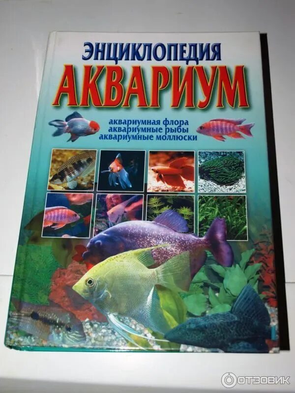 Книги про рыб. Аквариумные рыбки энциклопедия книга. Книга про аквариумных рыбок. Энциклопедия аквариумных рыбок. Энциклопедия про рыб для детей.