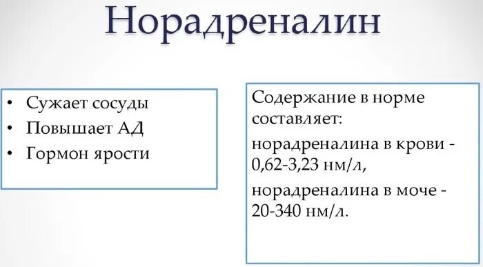 Заметить норма. Норма норадреналина в крови у мужчин. Норма адреналина и норадреналина в крови. Норадреналин норма. Анализ на норадреналин.