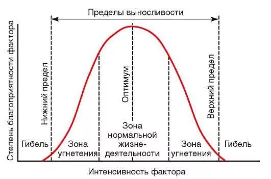 Зоны интенсивности воздействия экологического фактора. Факторы, влияющие на величину предела выносливости. Степень благоприятности фактора схема. Закон толерантности шелфорда. Интенсивность факторов среды.