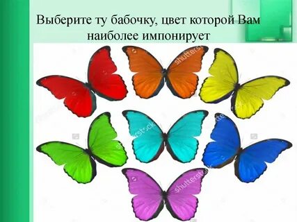 Выбор бабочки