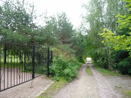Токсово гагарина 22 лесничество
