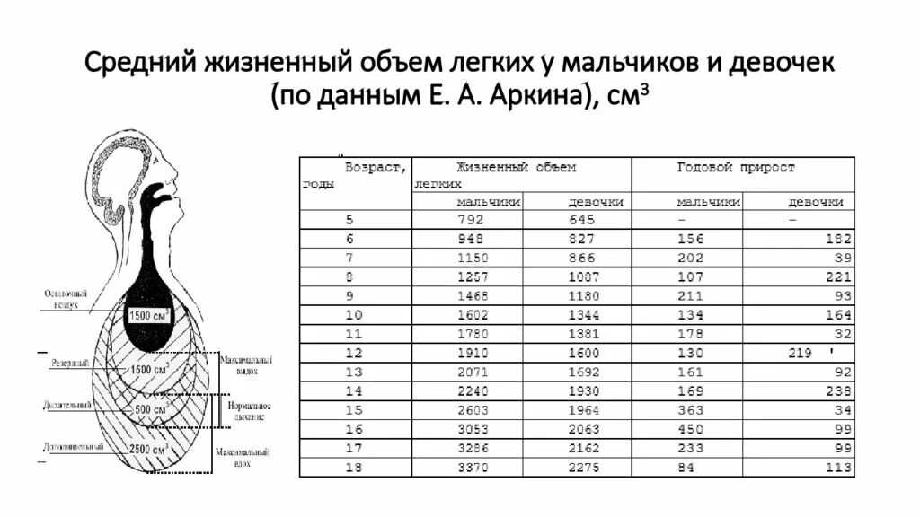 Жизненная емкость у женщин