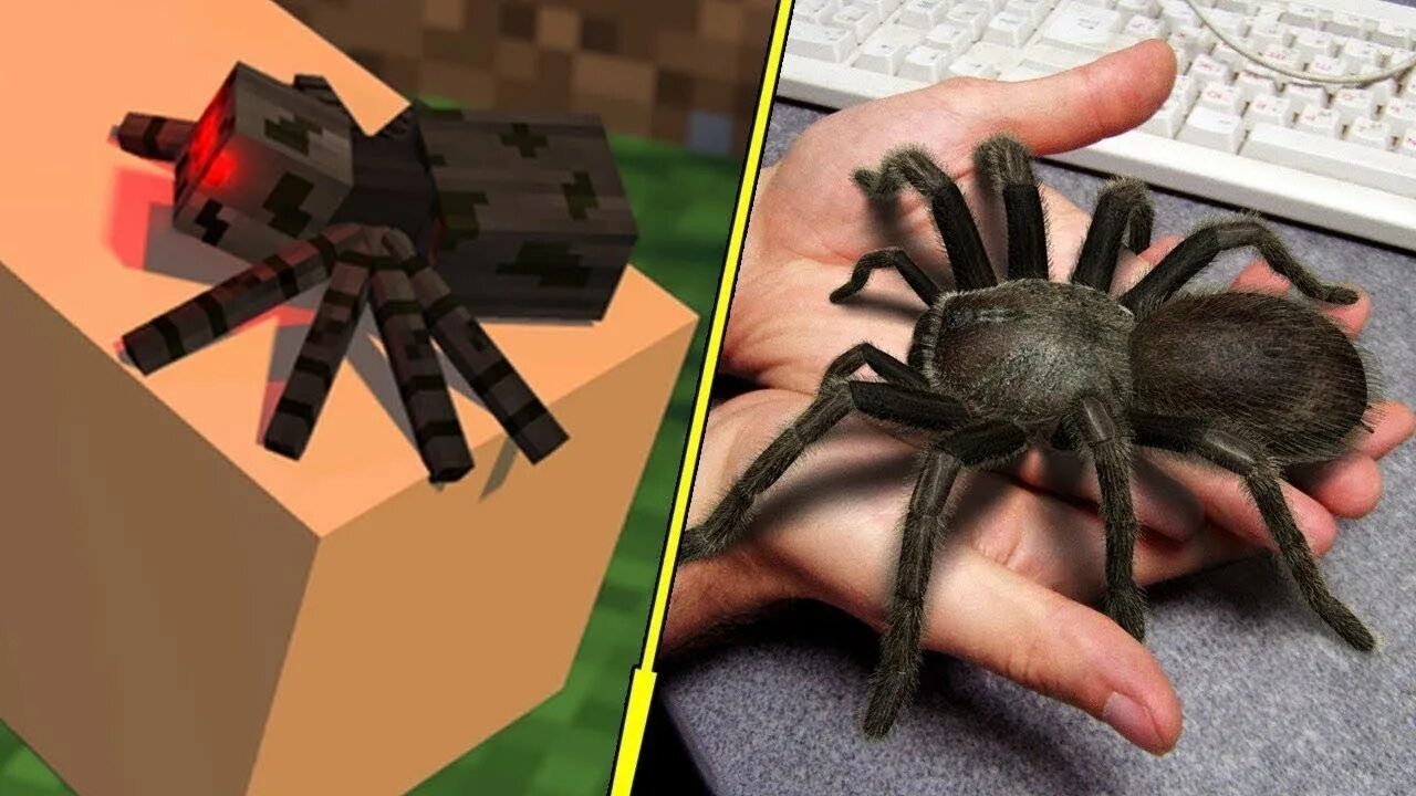 Паук из майнкрафта. 5. Реалистичные пауки майнкрафт. Паук майнкрафт. 16.