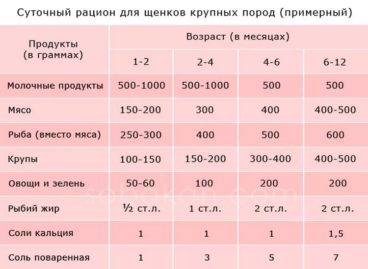 С какого возраста дают печень