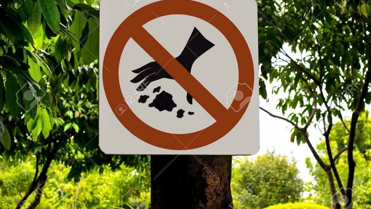 Мусорку нельзя. Запрещающие знаки в лесу. Экологические знаки. Знак не сорить в лесу. Знаки загрязнения природы.