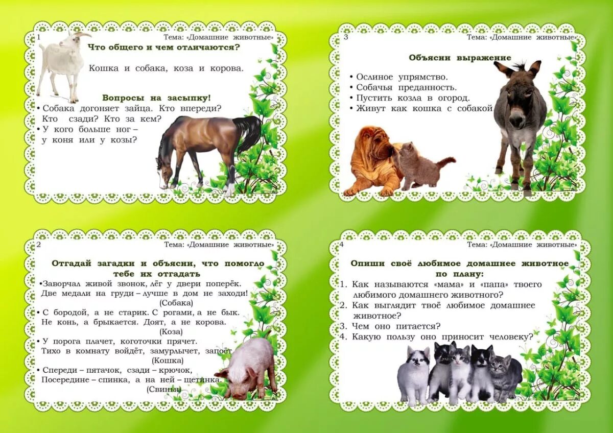 рассказ о медведе. описание диких животных. короткие описания животных для детей. белка описание. картотека дикие и домашние животные.