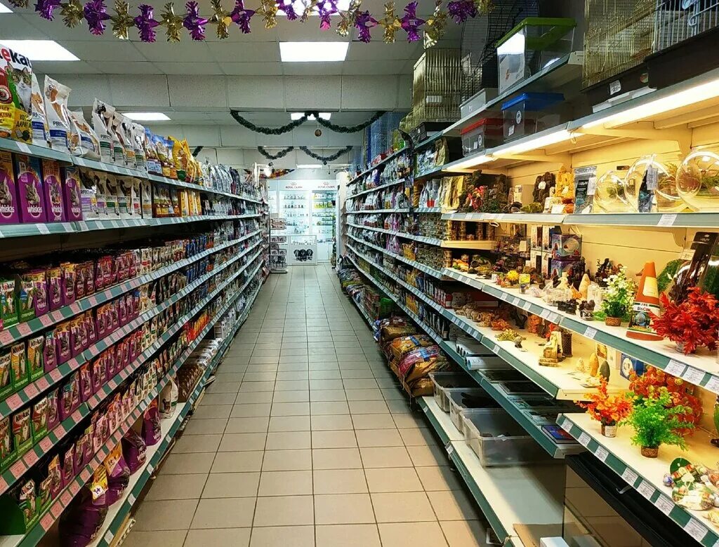 зоомагазин zoo новопесчаная. богема ульяновск зоомагазин. магазин животных. магазин зоотоваров. зоомагазин.