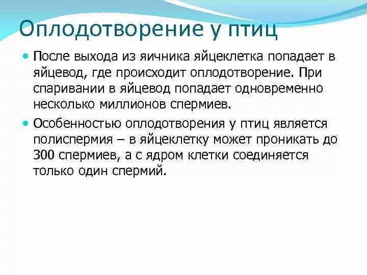 Птицы тип оплодотворения. Оплодотворение у птиц. Оплодотворение у птиц происходит. Оплодотворение птиц кратко. Особенности оплодотворения у птиц.