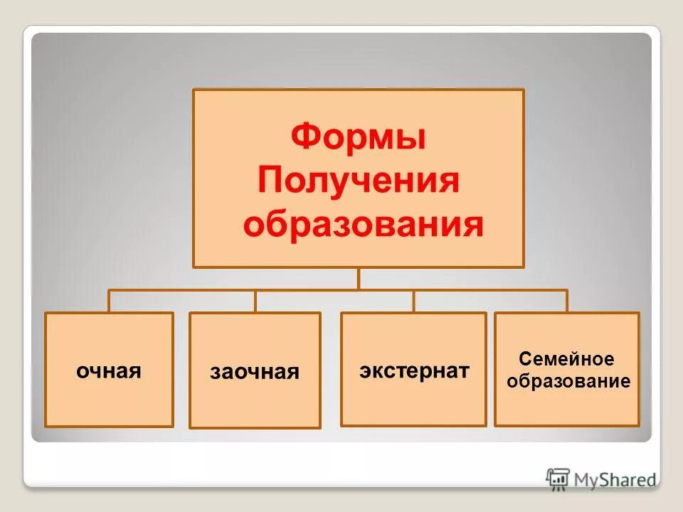 Форма проведения очная заочная. Способы получения образования. Способы поучения образование. Основные пути получения образования. Способы получения образования в России.