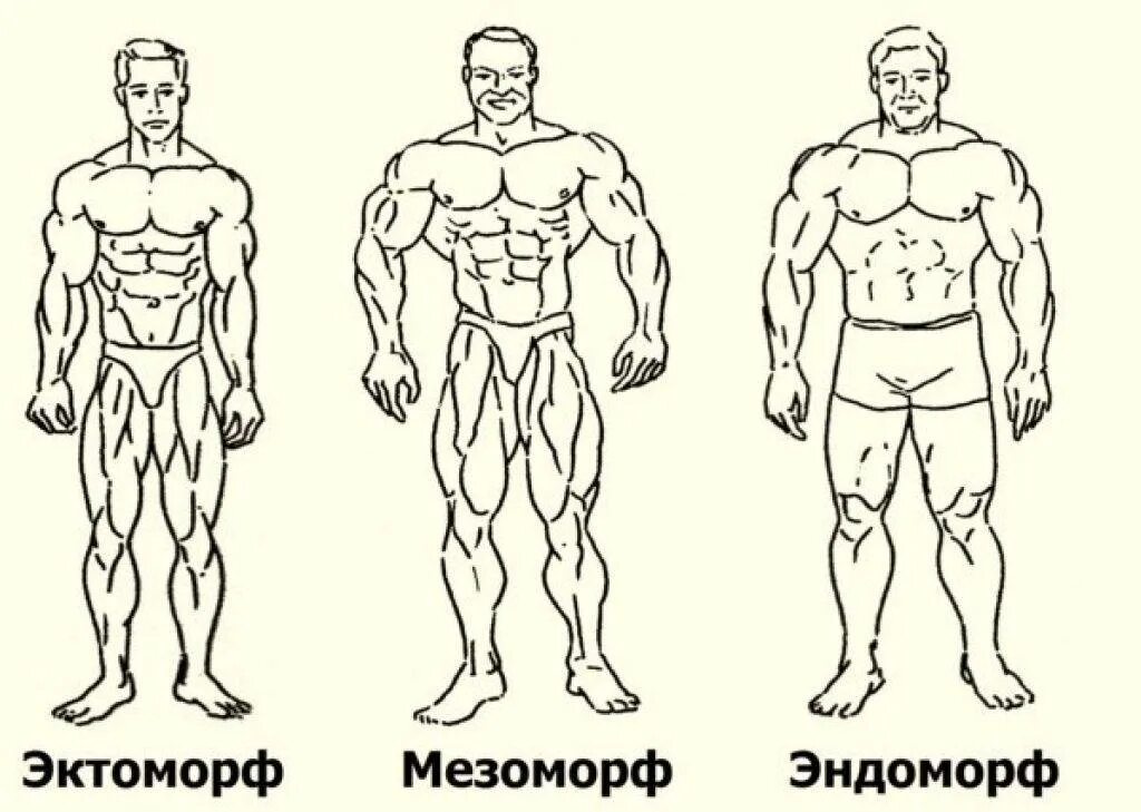 Месоморф