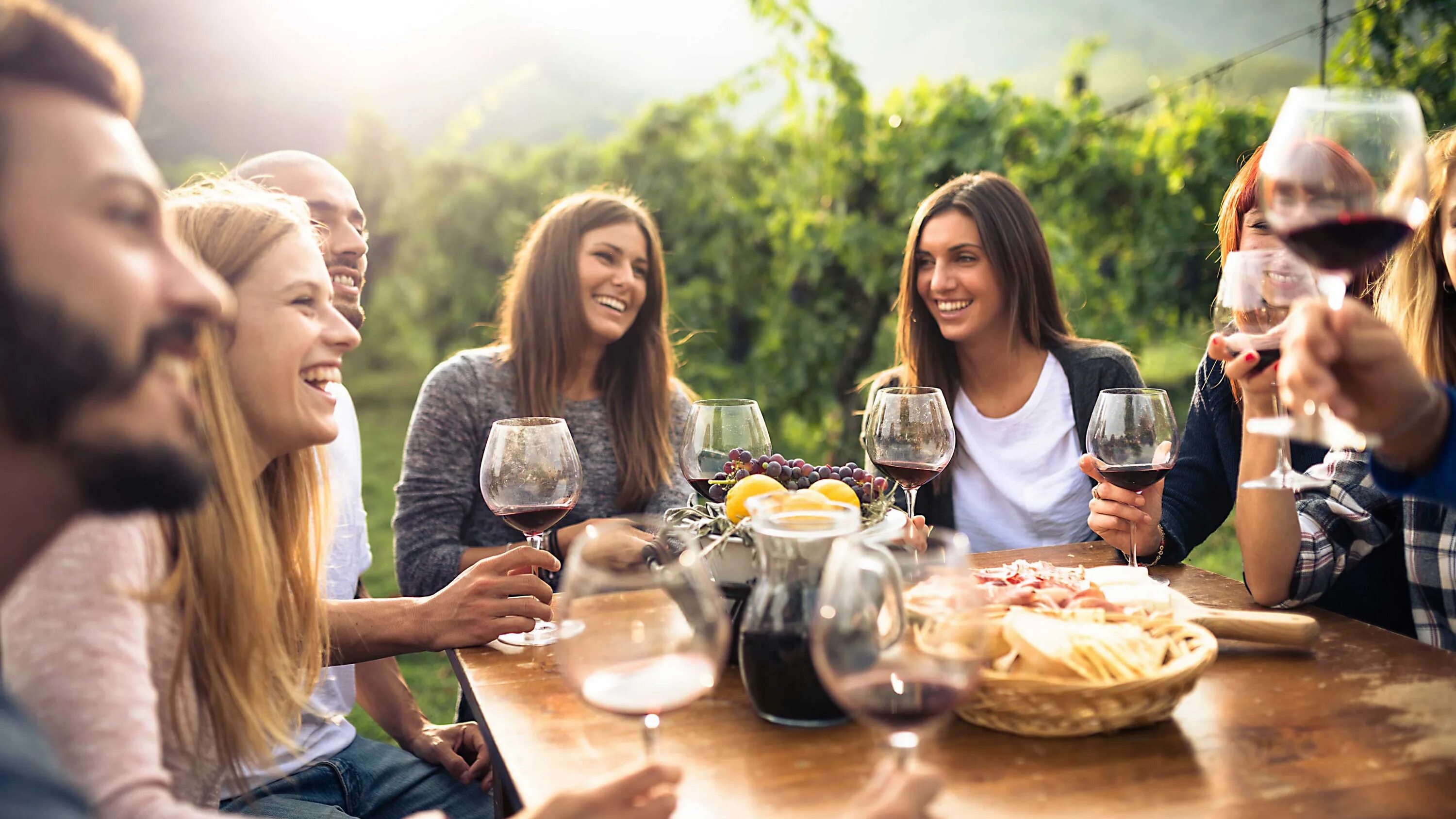 Wine friendly. Беседа вино. друзья пьют вино. вино friends wine. компания друзей во франции.