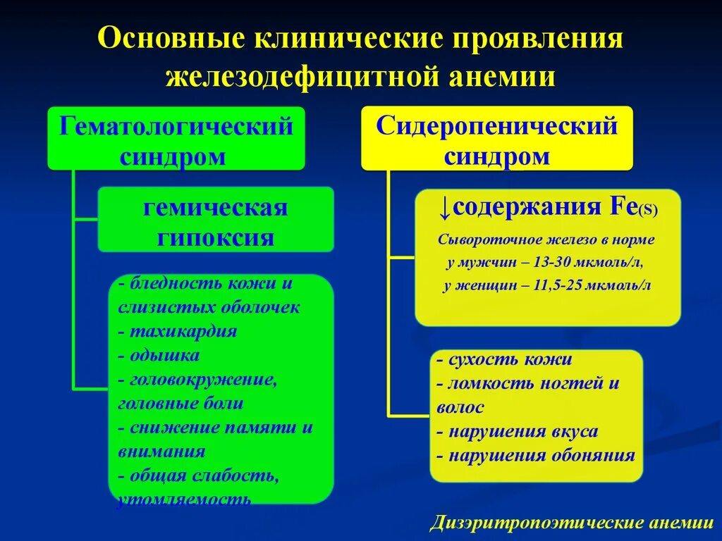 Признаки дефицитной анемии. Клинические проявления жда у детей. Основные клинические проявления железодефицитной анемии. Клинические симптомы железодефицитной анемии. Основные клинические синдромы железодефицитной анемии.