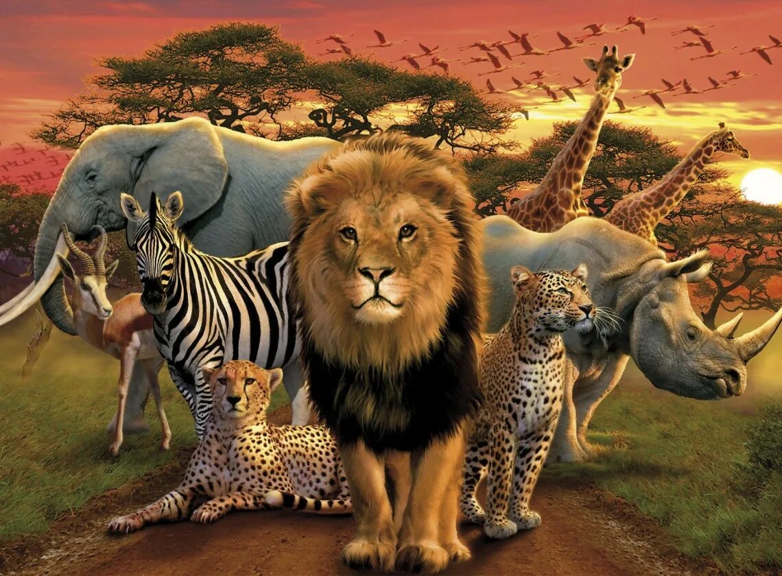Животные Африки. Животные АФРИКИАФРИКИ. Дикие животные Африки. Животные саванны.