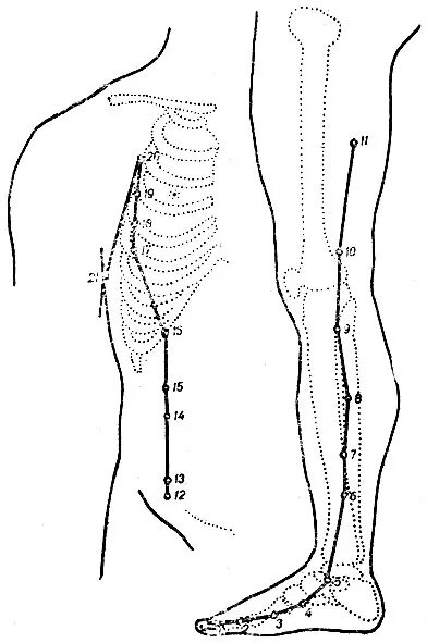 Артровикс меридиан. Меридиан селезенки и поджелудочной железы точки. SP 21 Меридиан селезенки. Меридиан селезенки точки расположения. Меридиан поджелудочной.