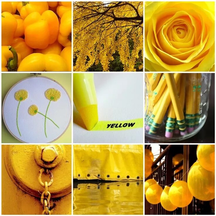 5 предметов желтого цвета. Предметы желтого цвета. Фотосессия в желтом цвете. Желтое настроение. Мудборд синий желтый.