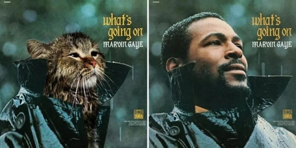 Whats going on. Marvin_gaye обложка. what’s going on марвин гэй. marvin gaye - what&#039;s going on (1971). marvin gaye what&#039;s going on cover.