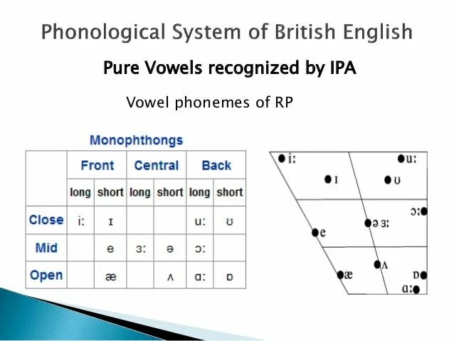 The system английский. Classification of English Vowels таблица. The System of English Vowels. Central Vowels in English. English Vowel Sounds classification.