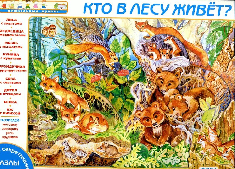 Лесные животные для малышей. Сказочные жители леса. Кто живет в лесу конспект. Аппликация дикие животные подготовительная группа. Кто живет в лесу конспект.