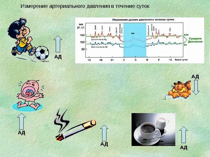 Нормальное давление в течении дня. Колебания артериального давления в течение суток. изменение артериального давления в течение суток. изменение давления в течении суток у человека. изменение ад в течение суток.
