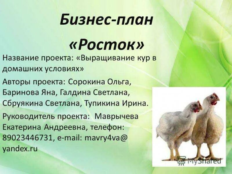 Птицефабрика план проект. Бизнес-план по разведению кур несушек в домашних условиях. Книги по выращиванию птицы. Пми выращивание индейки. Бизнес план по разведению гусей.