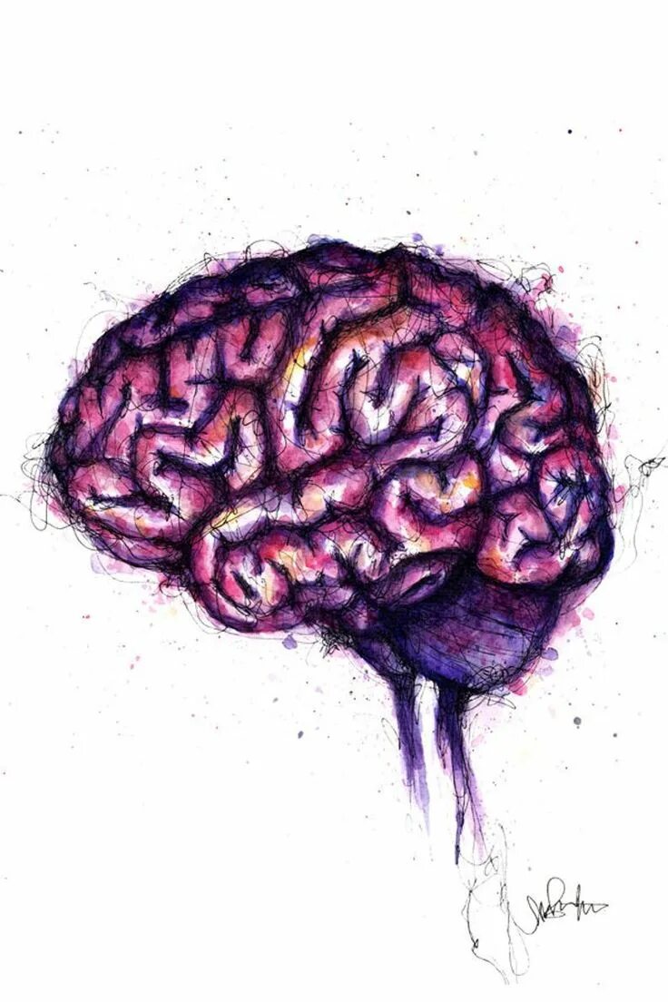 Brain contain