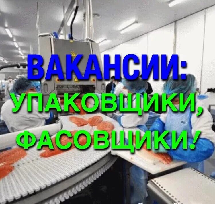 Работа вахтовым методом упаковщики. Упаковщик вахта. рыбный цех упаковщица. свежие вакансии упаковщица. требуется упаковщики вахта.
