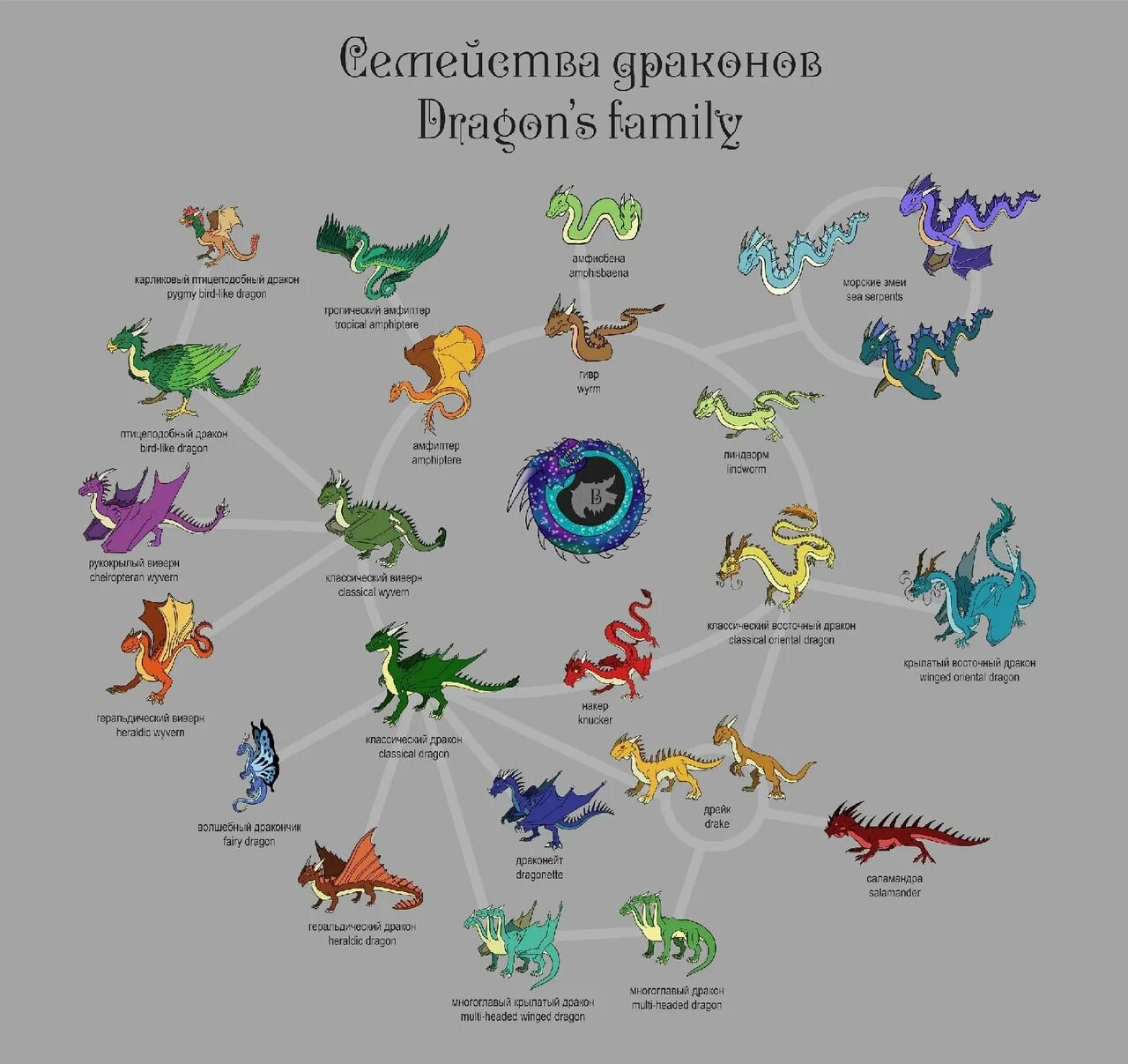 Дракон какая страна. Драконы классификация. ВИВЕРНЫ драконы классификация. Виды драконов таблица. Виды Дреонов.