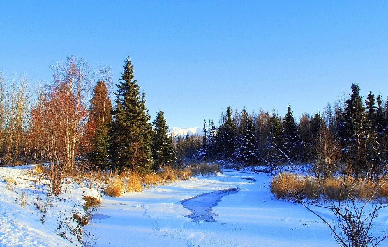 Конец февраля картинки красивые. Зимний пейзаж. Зимняя река. Русская природа зимой.