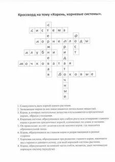 Зародыш сканворд