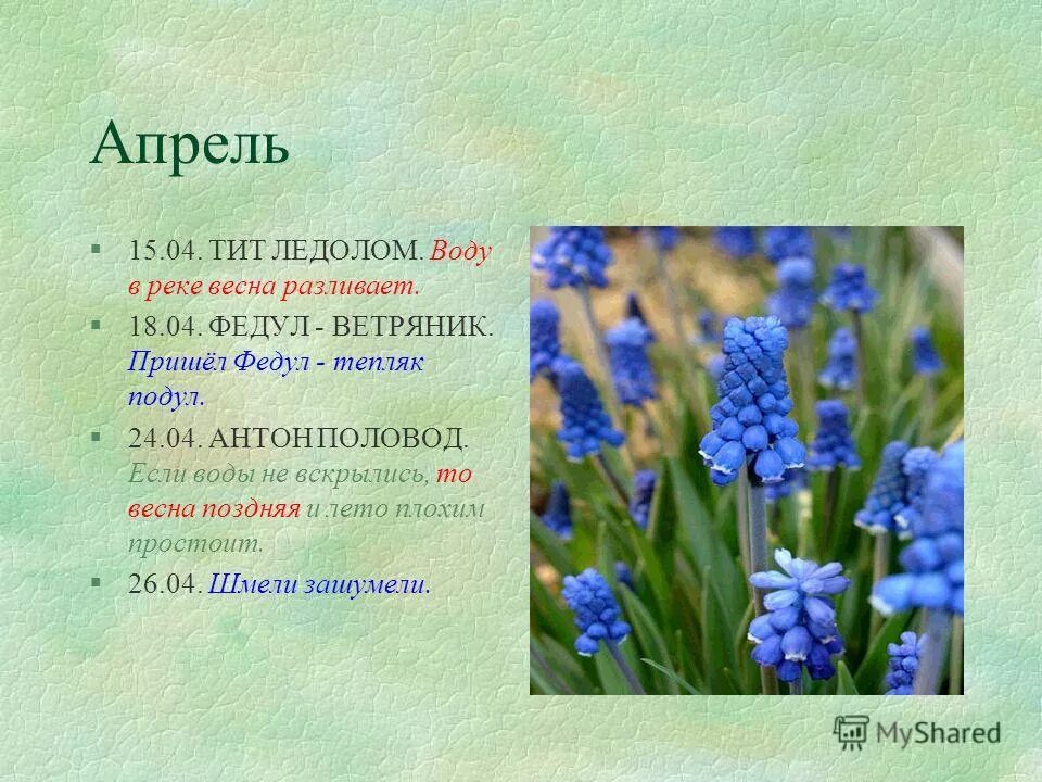 Федул ветряник. 15 апреля календарь