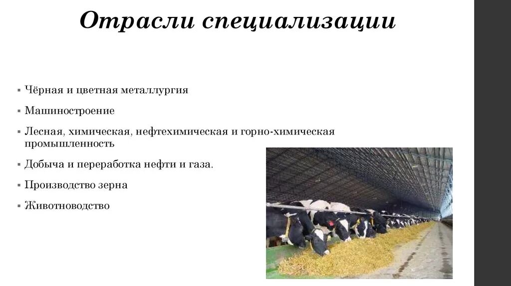 Отрасли в данной отрасли необходимо. Отрасли специализации. Специализация промышленности. Отрасли специализации промышленности Великобритании. Хозяйственная специализация.