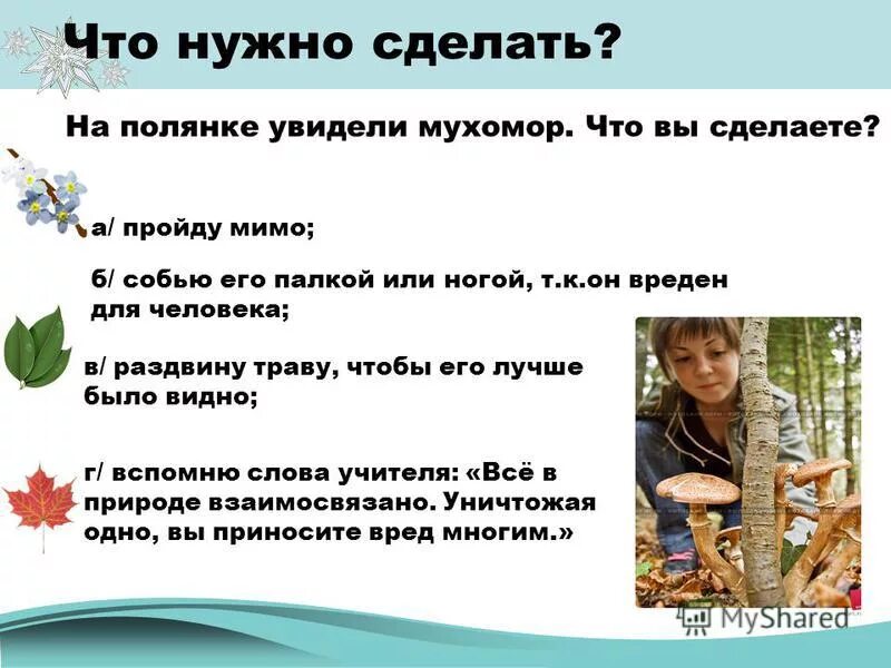 огурцы грибы задача девочка