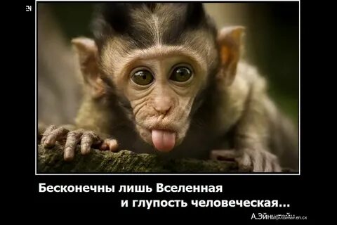 А нас за шо
