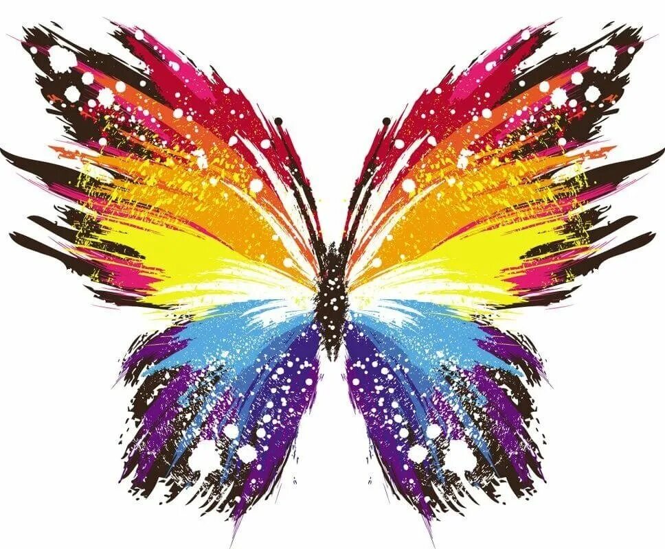Без цветной рисунок. Разноцветные бабочки. Бабочки цветные. Радужные бабочки. Яркие бабочки на прозрачном фоне.