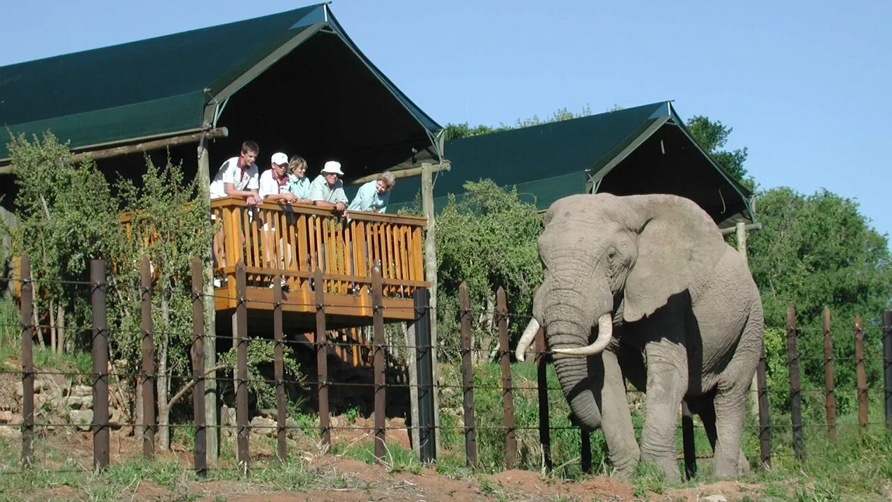 Национальный парк Эддо ЮАР. Addo Elephant National Park. Addo Elephant National Park, Eastern Cape. Йоханнесбург сафари парк. Elephant camp