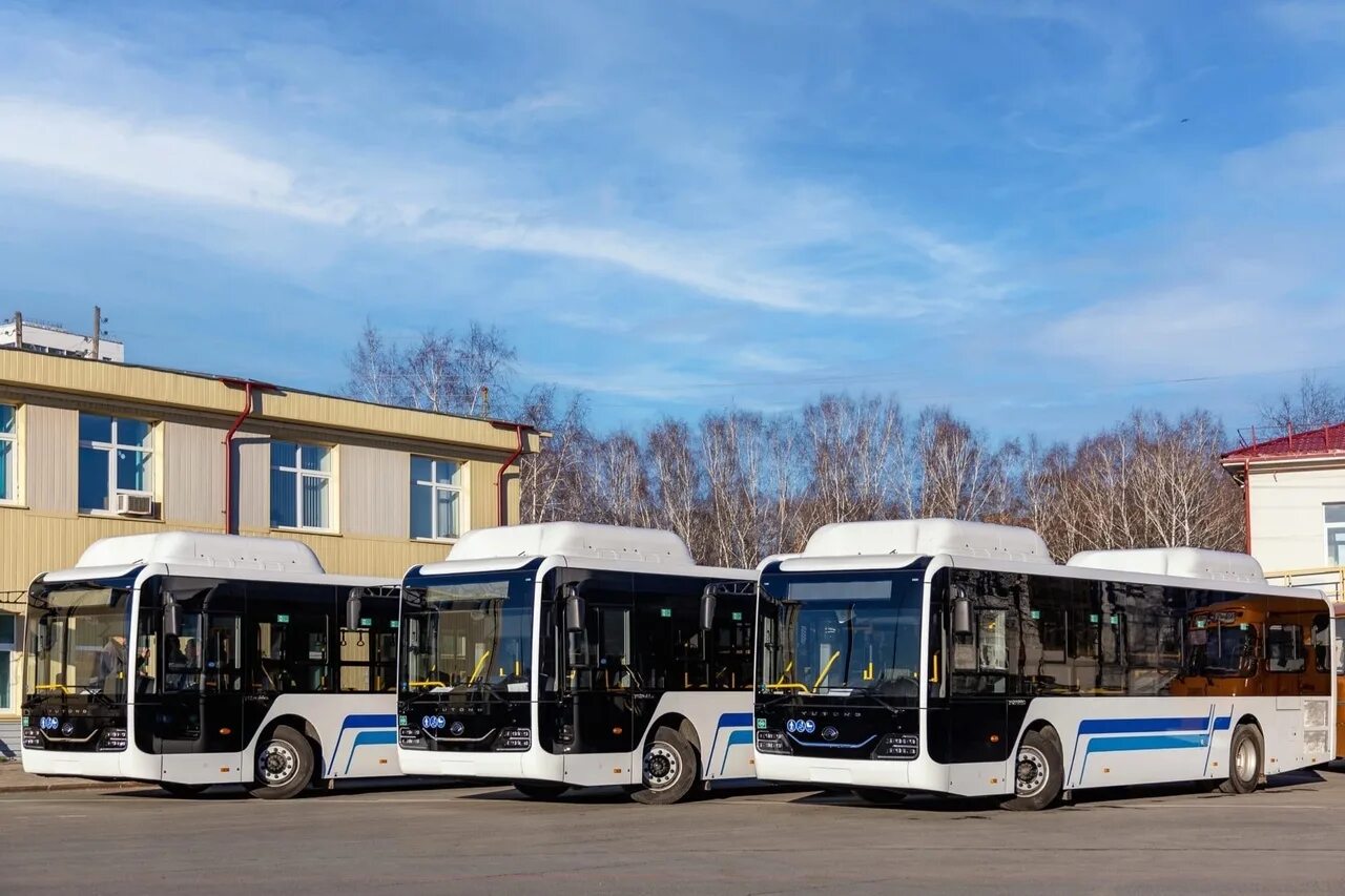 Тобольские автобусы. Патп тобольск. новые автобусы. автобусный парк. автобус большой.