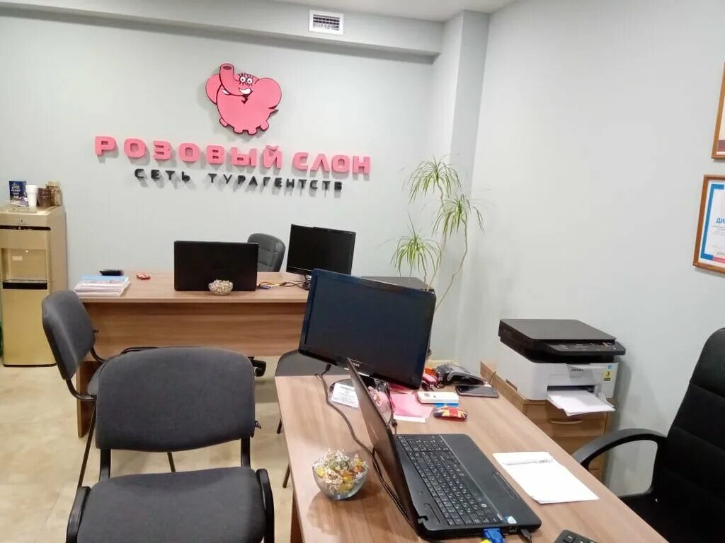 розовый слон. турфирма розовый слон. турфирма розовый слон. оформление фасада турагентства. туристической компании розовый слон.