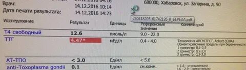 Ттг первый триместр беременности