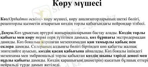 Ескі еркек порно актерлер